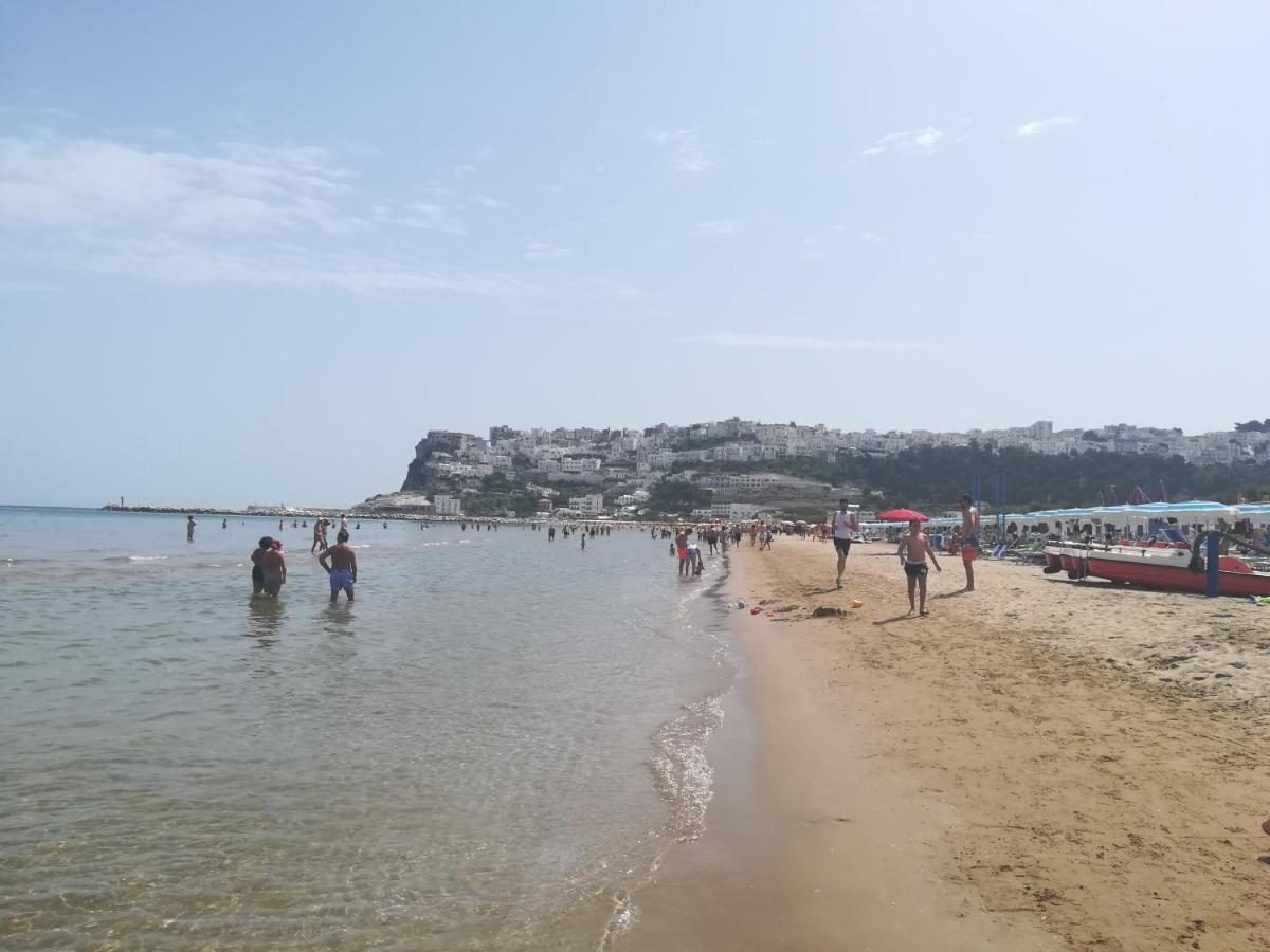 Casa Vacanze Da Michela بيسْكيتْشّي المظهر الخارجي الصورة
